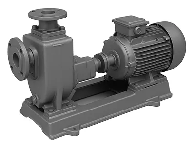 Pump rotors balancing